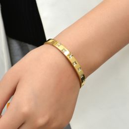 Stainless Steel Bracelet Jewelry Crystal Bracelet With Cube Zircon Hinge Jewelry oval Bangle