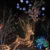 Colorful Firefly - Solar mini LED Christmas lights on Strings